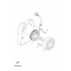 STATOR KOMPL.