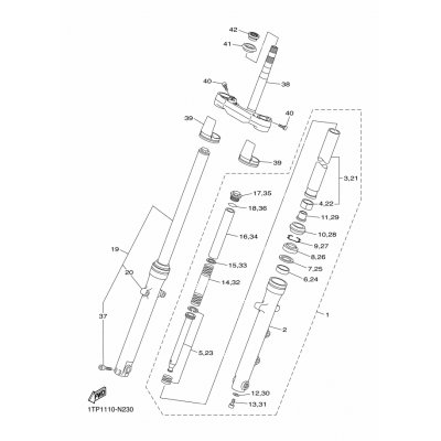 INNERES GABELBEINROHR 1