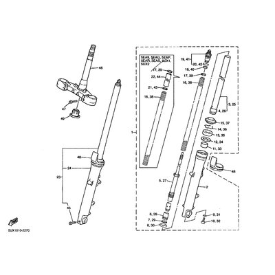 INNERES GABELBEINROHR 1