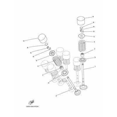 HALTER, VENTILFEDER