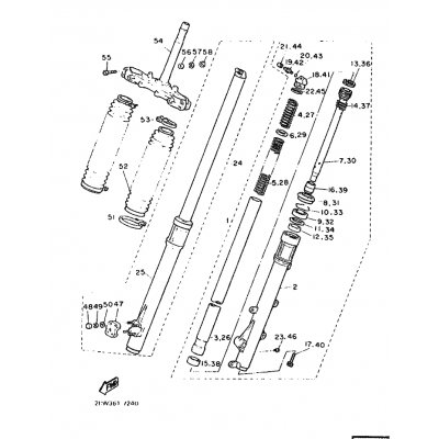 AUSSERES GABELBEINROHR (R)