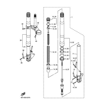 AUSSERES GABELBEINROHR (L)
