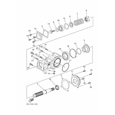 CASE, TRANSFER 2
