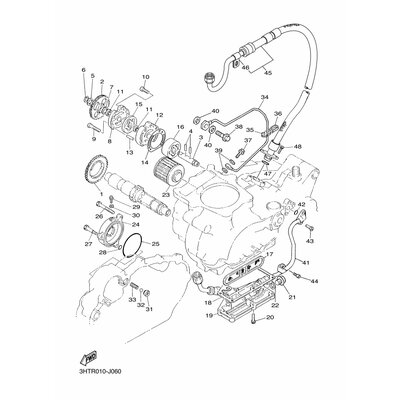 SCHLAUCH, OL 2