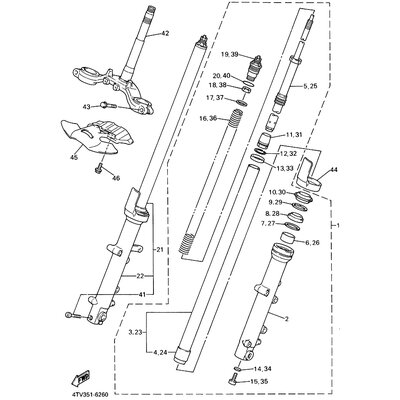 GABELBEIN (LINKS)