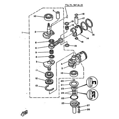 OIL SEAL