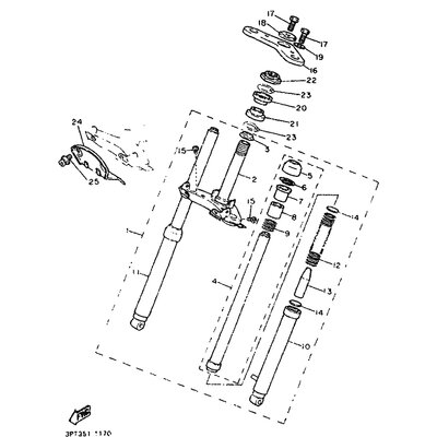 INNERES GABELBEINROHR 1