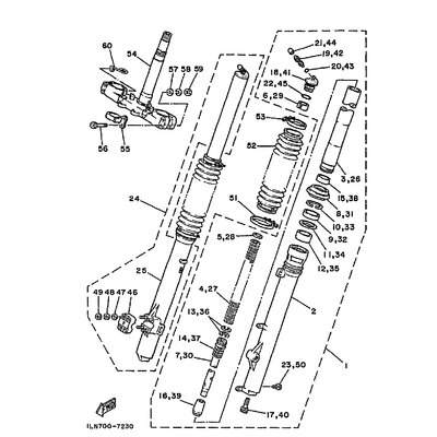 INNERES GABELBEINROHR 1