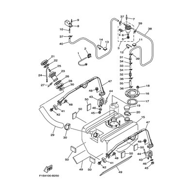 BASE, CLAMP