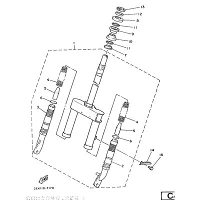 INNERES GABELBEINROHR 2