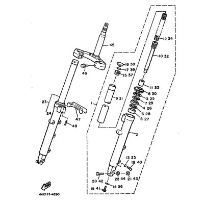 INNERES GABELBEINROHR 1