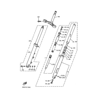 INNERES GABELBEINROHR 1