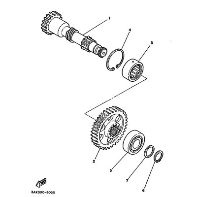 ABTRIEBSRAD