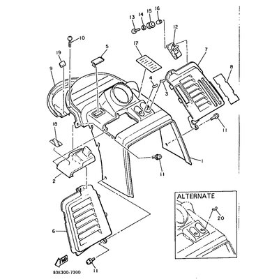 ORNAMENT, INSTRUMENT PANEL