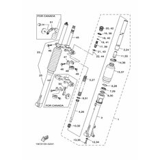 INNERES GABELBEINROHR 1