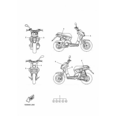 GRAPHIC, 12