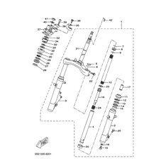 INNERES GABELBEINROHR 1