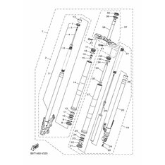 INNERES GABELBEINROHR 1