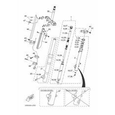 INNERES GABELBEINROHR 1